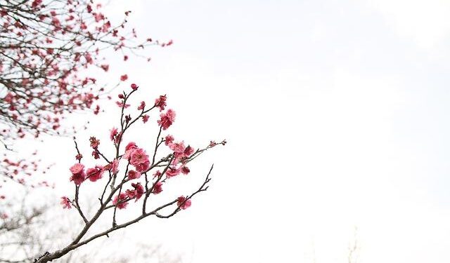 Europe just had warmest March on record – Reuters