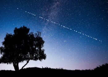 Starlink, Morocco in Talks to Expand Internet Services in Western Sahara – Morocco World News