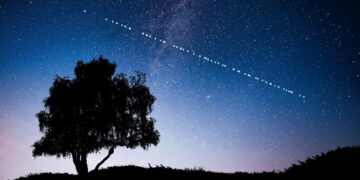 Starlink, Morocco in Talks to Expand Internet Services in Western Sahara – Morocco World News