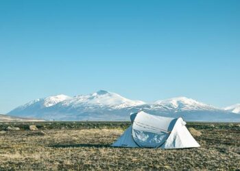 Tunisia starts large-scale migrant camp clearance – News.az