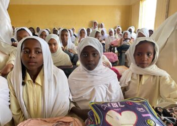 Atrocity Alert No. 434: Sudan, Ethiopia and the UN Human Rights Council – Global Centre for the Responsibility to Protect