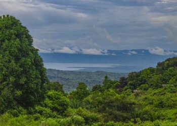 Congo, M23 rebels hold first talks after months of conflict – Reuters