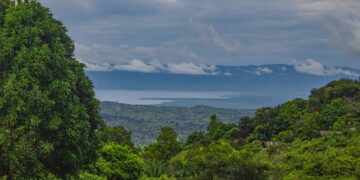 Congo, M23 rebels hold first talks after months of conflict – Reuters