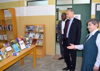 Sister Aïda Yazbeck, from Lebanon to Chad, a nun on a mission for peace – La croix international