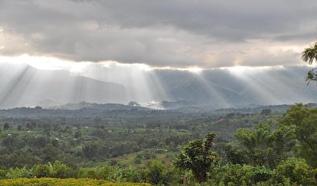 Congo refugees pour into Burundi, conditions dire, says UN – Reuters