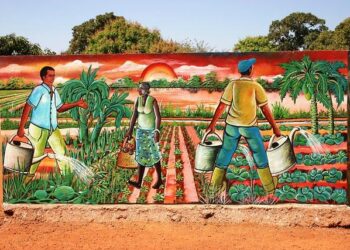 Burkina Faso amnesty law ‘risky decision,’ analysts say – VOA – Voice of America English News