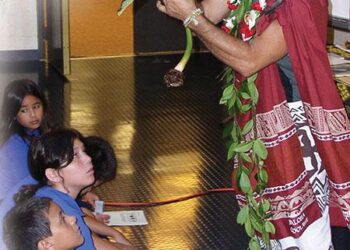 Why criminals target Hawaii’s kupuna – KITV