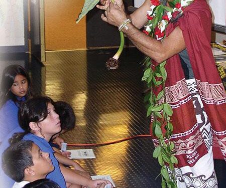 Why criminals target Hawaii’s kupuna – KITV