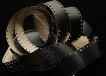 The Netherlands Film Fund launches new annual incentive to reward local box-office hits – Cineuropa