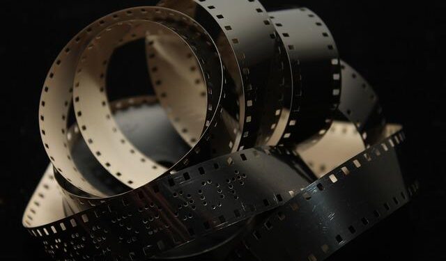 The Netherlands Film Fund launches new annual incentive to reward local box-office hits – Cineuropa