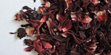 Sudanese envoy secretly visits Israel in effort to put Abraham Accords back on track – report – All Israel News