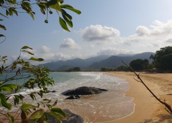 Sierra Leone must face law firm Jenner’s $8 million fee lawsuit – Reuters