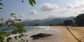 Sierra Leone must face law firm Jenner’s $8 million fee lawsuit – Reuters