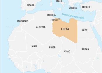 Libyan authorities suspend 10 international aid groups providing crucial assistance to migrants – Big Rapids Pioneer