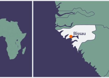 Guinea Bissau president swears at journalist as media freedom declines – Committee to Protect Journalists