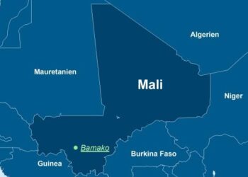 Mali, Burkina Faso, Niger recall ambassadors from Algeria over drone incident – TRT World