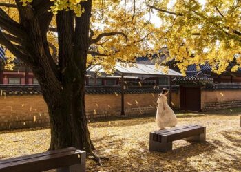 Korea establishes diplomatic ties with Pacific island nation of Niue – The Korea Times