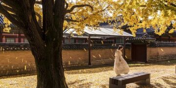 Korea establishes diplomatic ties with Pacific island nation of Niue – The Korea Times