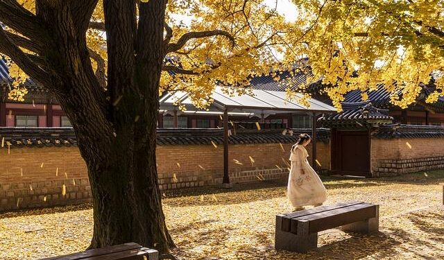 Korea establishes diplomatic ties with Pacific island nation of Niue – The Korea Times