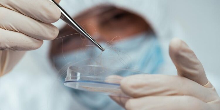 DNA Evidence Shows Ecocide Theory of Easter Island Is False – Ancient Origins