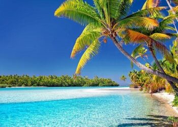 Cook Islands strikes deal with China on seabed minerals – France 24