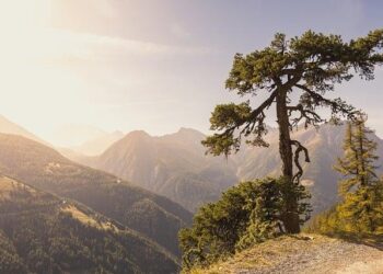 Switzerland: First Fine Imposed Under Burqa Ban – The European Conservative