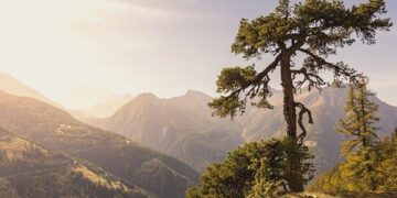 Switzerland: First Fine Imposed Under Burqa Ban – The European Conservative