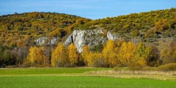 Ihe leader of Gagauzia was released under house arrest. She is suspected of facilitating the financing of a political party by Russia – Бабель