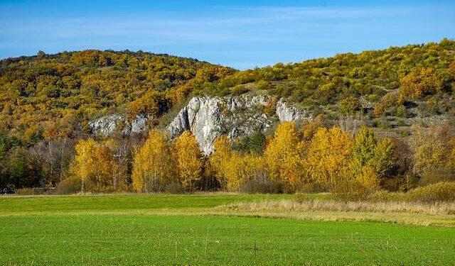 Ihe leader of Gagauzia was released under house arrest. She is suspected of facilitating the financing of a political party by Russia – Бабель