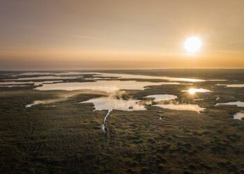 Hungary “extremely grateful for President Trump”: Foreign minister – Newsweek