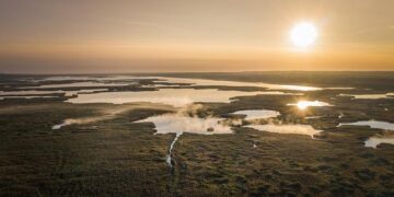 Hungary “extremely grateful for President Trump”: Foreign minister – Newsweek