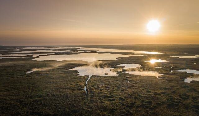 Hungary “extremely grateful for President Trump”: Foreign minister – Newsweek
