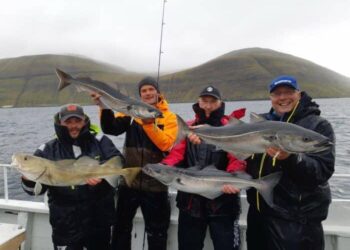 UK’s Faroese fishing deal ‘blood-stained’ say dolphin campaigners – Oceanographic Magazine
