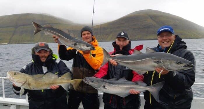 UK’s Faroese fishing deal ‘blood-stained’ say dolphin campaigners – Oceanographic Magazine