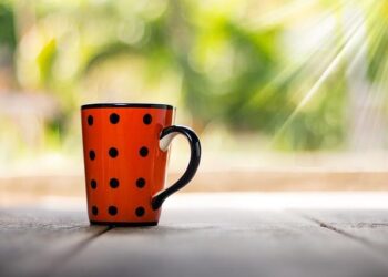 Davis Cup 2025: India drawn against Togo in World Group I play-offs – Olympics.com