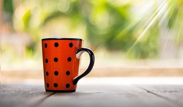 Davis Cup 2025: India drawn against Togo in World Group I play-offs – Olympics.com