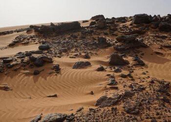 South Sudan Education Cluster Advocacy Brief – Call to action 2025 – ReliefWeb