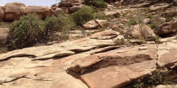 Somaliland Votes for President Amid Push for International Recognition – OkayAfrica