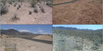 Giving back to the desert in Mauritania – fao.org