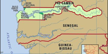 Gambia becomes latest African country to send domestic workers to Saudi Arabia – Business Insider Africa