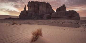 Algeria Shuts Down Airspace and Recalls Envoys Amid Mali Drone Row – allAfrica.com