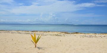 Fiji Airways touches down in Cairns, marking the launch of ‘game changer’ route – AeroTime