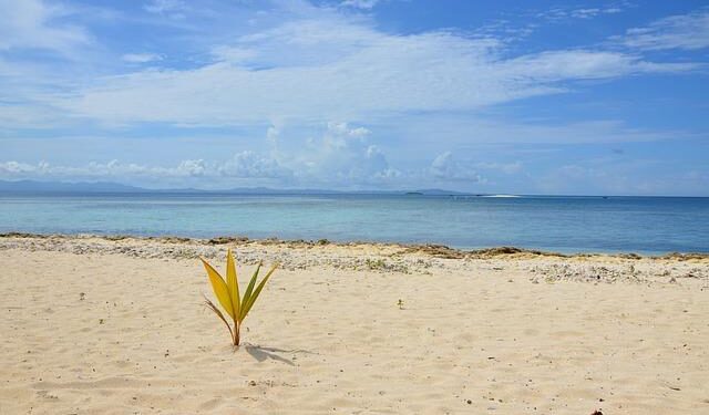 Fiji Airways touches down in Cairns, marking the launch of ‘game changer’ route – AeroTime