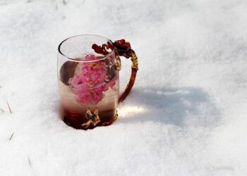 Heavy snow in Norway ahead of Europa League quarterfinal between Bodo/Glimt and Lazio – Newsday