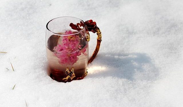 Heavy snow in Norway ahead of Europa League quarterfinal between Bodo/Glimt and Lazio – Newsday