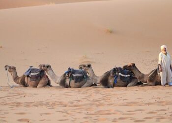 “Ending in Rabat”: France’s Moroccan Pivot and the Future of Western Sahara – The Heritage Foundation