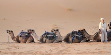 “Ending in Rabat”: France’s Moroccan Pivot and the Future of Western Sahara – The Heritage Foundation