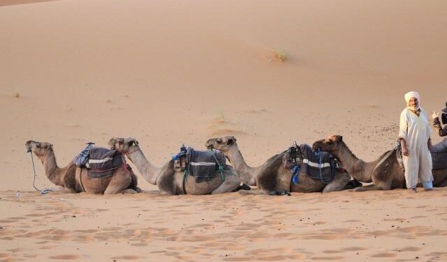 “Ending in Rabat”: France’s Moroccan Pivot and the Future of Western Sahara – The Heritage Foundation