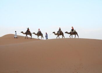 Moroccan Authorities Warn of Unauthorised Use of Personal Data Following CNSS Leak – Morocco World News