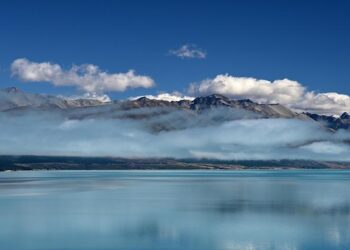 New Zealand fin min says RBNZ has ample room to lower interest rates if needed – Forexlive